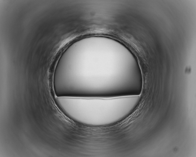 X0000101101404200806261033