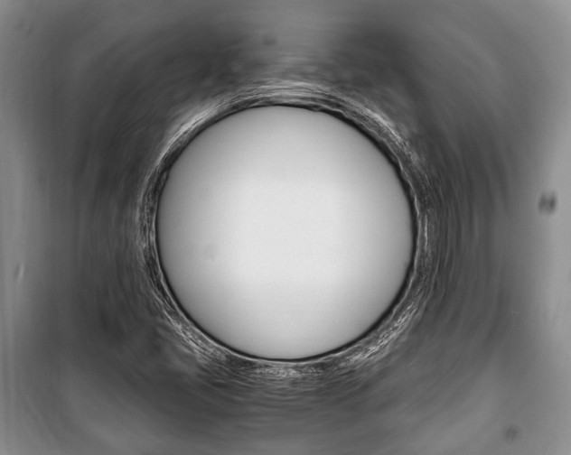 X0000101101405200806261033