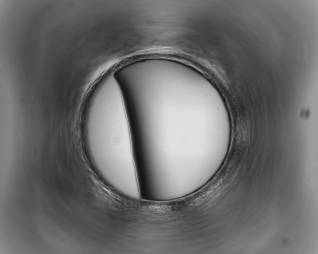 X0000101101406200806261033