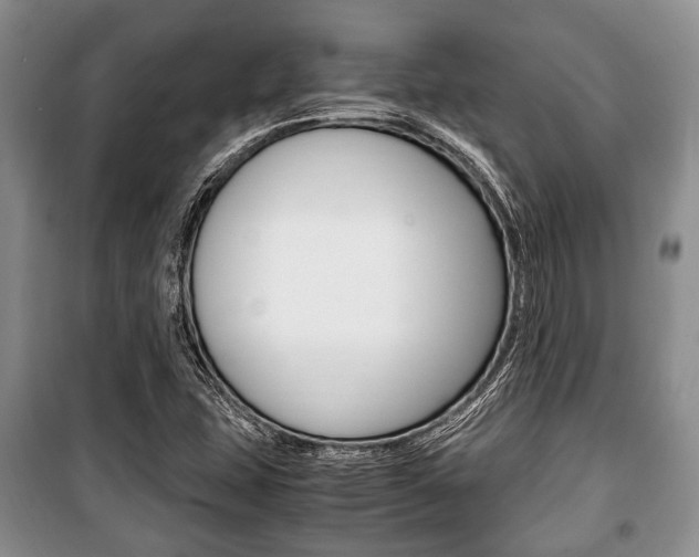 X0000101101407200806261033