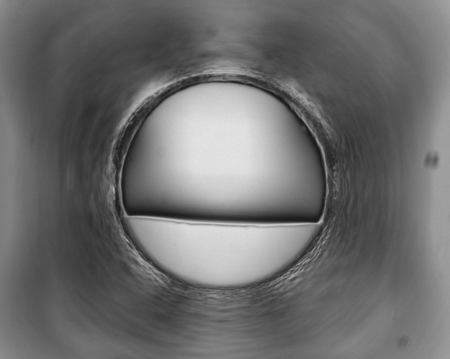 X0000101101408200806261033