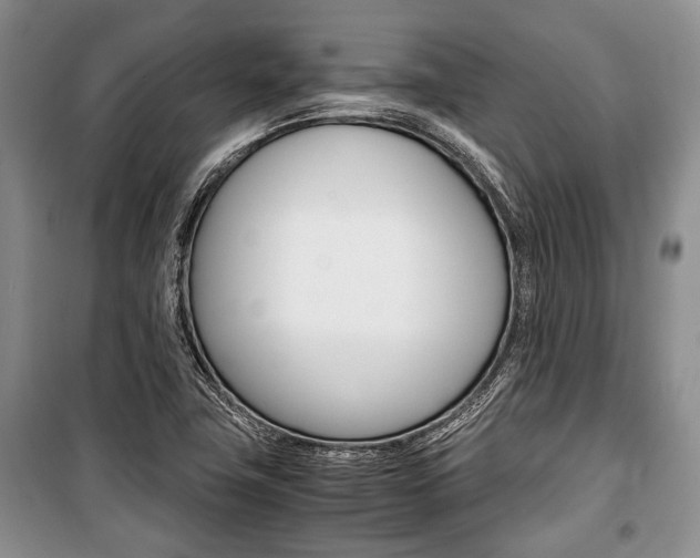 X0000101101411200806261033