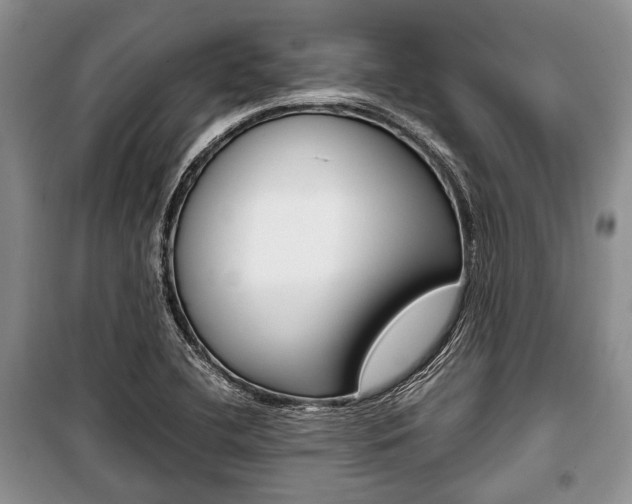 X0000101101412200806261033