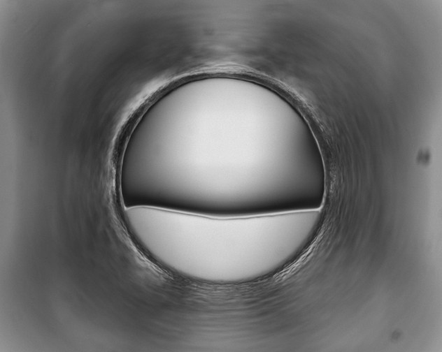 X0000101101414200806261033