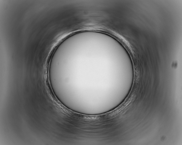 X0000101101415200806261033