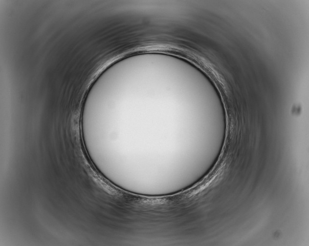 X0000101101417200806261033