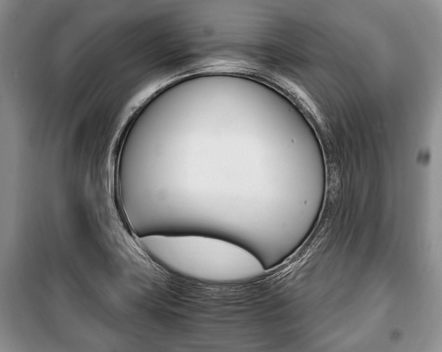 X0000101101419200806261033