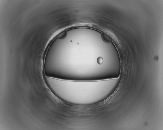 X0000101101420200806261033