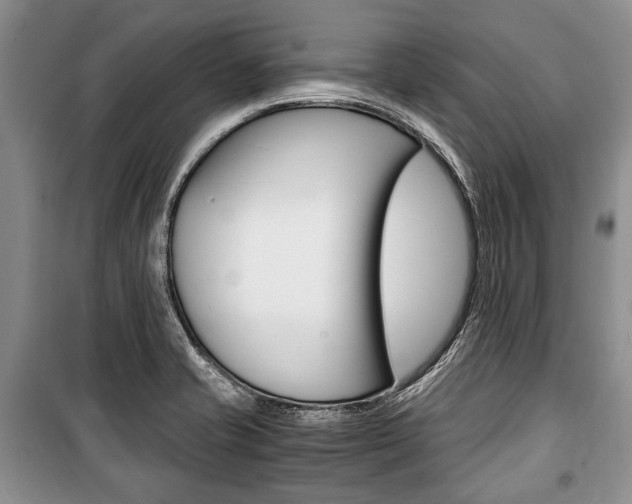 X0000101101421200806261034
