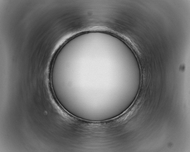 X0000101101422200806261034