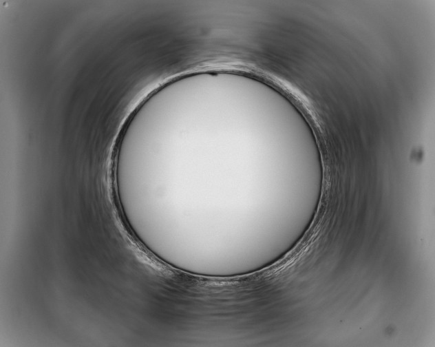 X0000101101423200806261034