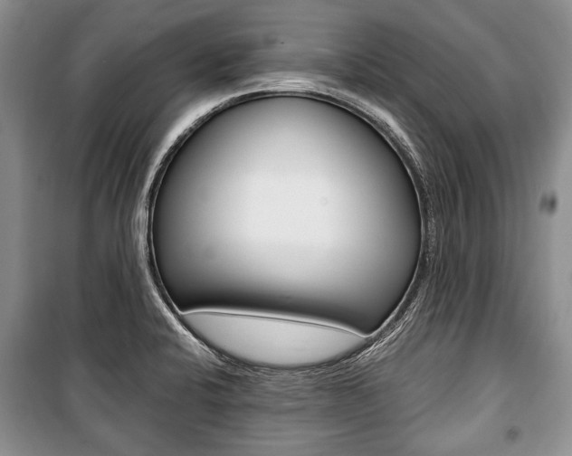 X0000101101424200806261034