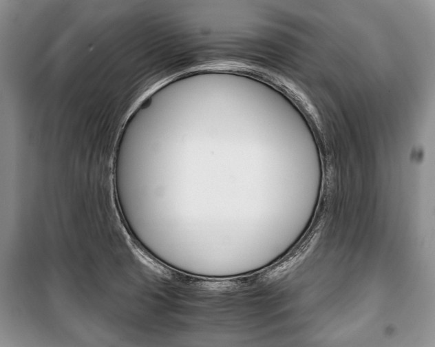 X0000101101425200806261034
