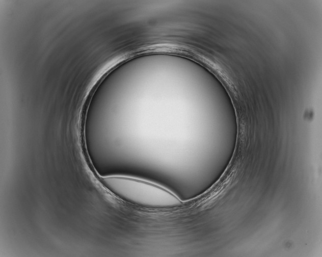 X0000101101426200806261034