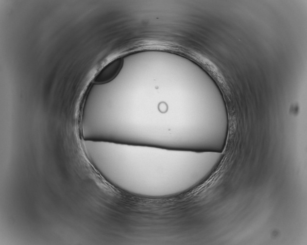 X0000101101427200806261034