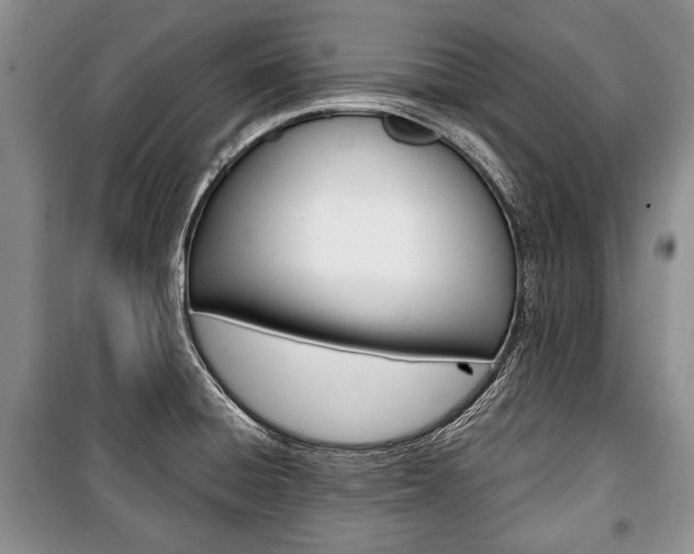 X0000101101428200806261034