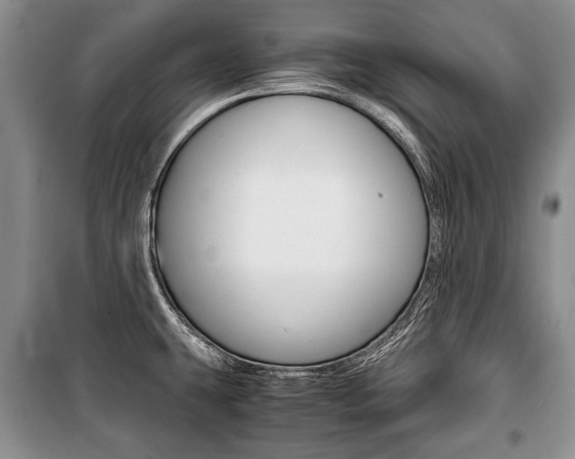 X0000101101431200806261034