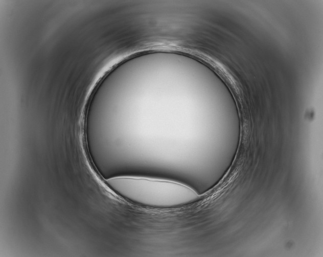 X0000101101432200806261034