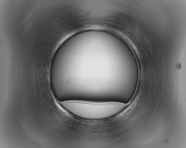 X0000101101433200806261034