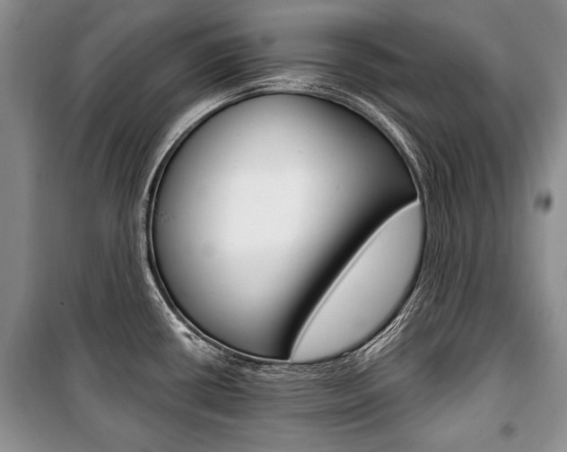 X0000101101434200806261034