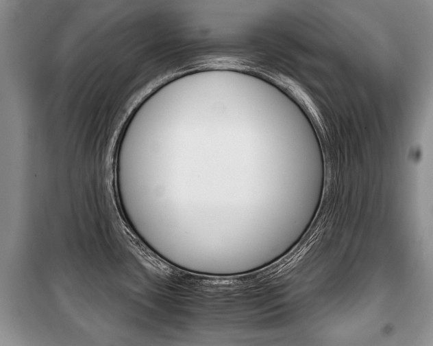 X0000101101435200806261034