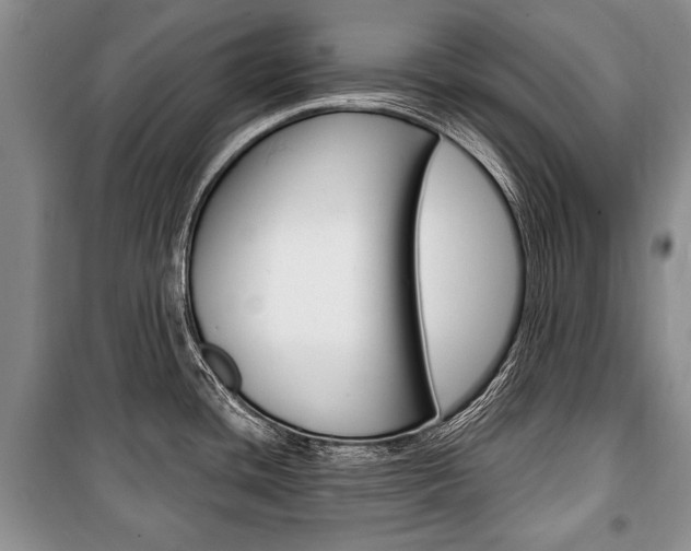 X0000101101436200806261034