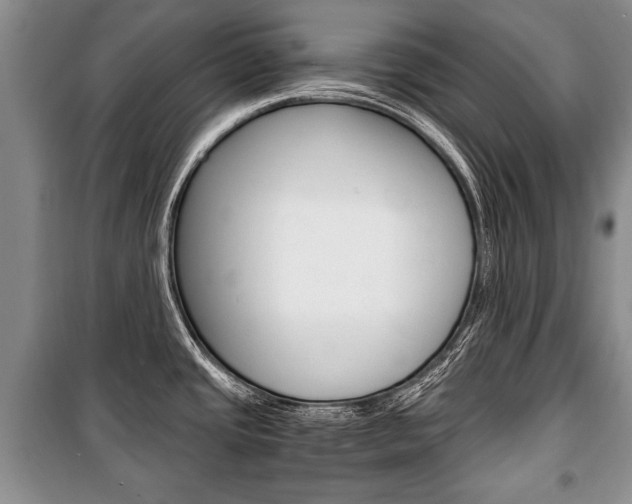 X0000101101437200806261034