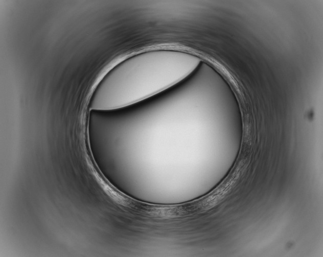 X0000101101438200806261034