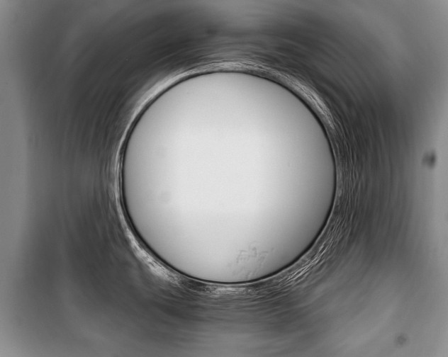 X0000101101439200806261034