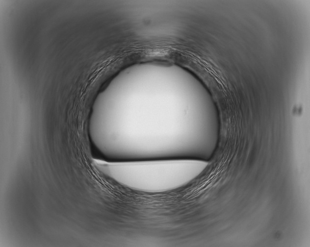 X0000101101441200806261033