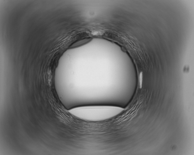 X0000101101443200806261033