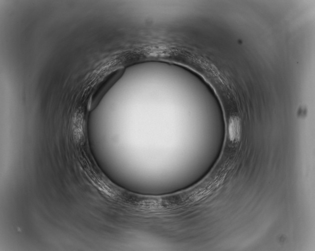 X0000101101444200806261033