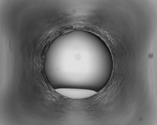 X0000101101445200806261033