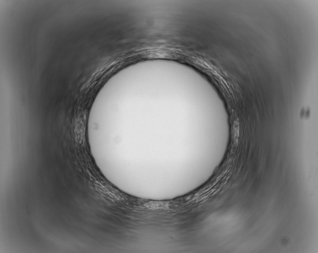 X0000101101446200806261033