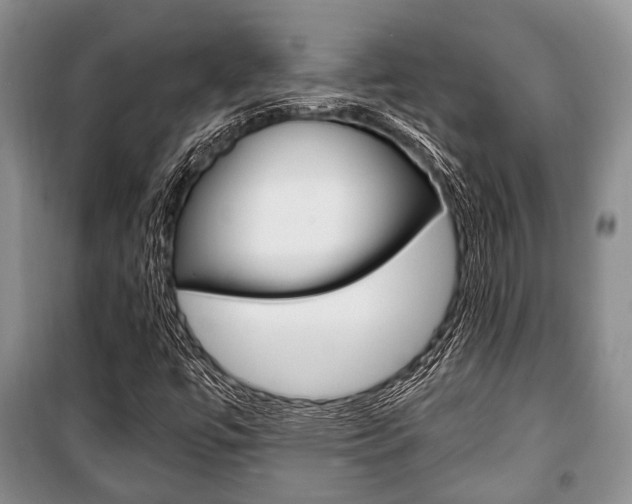 X0000101101447200806261033