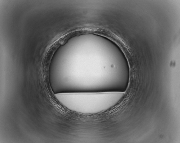 X0000101101448200806261033