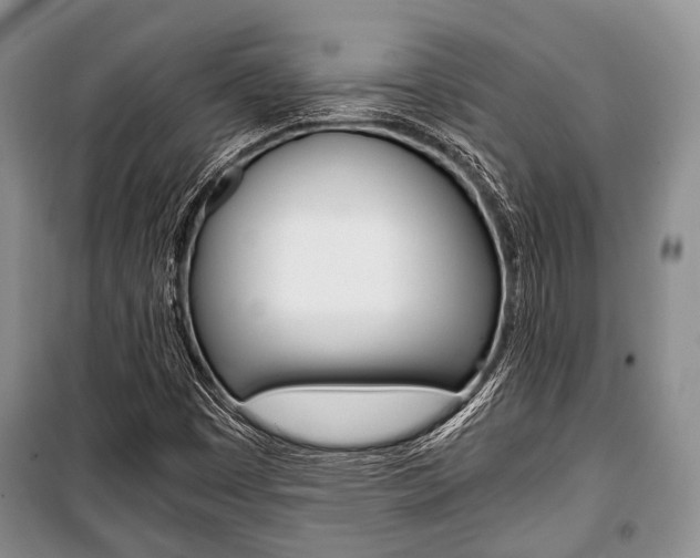 X0000101101449200806261033
