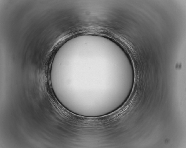 X0000101101451200806261033