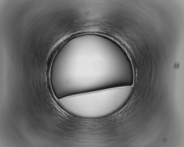 X0000101101452200806261033
