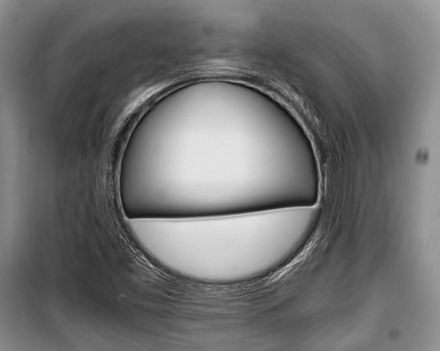 X0000101101453200806261033