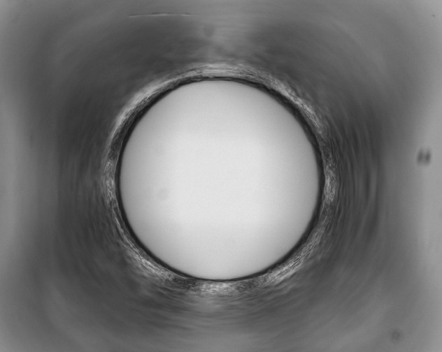 X0000101101454200806261033