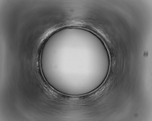 X0000101101455200806261033