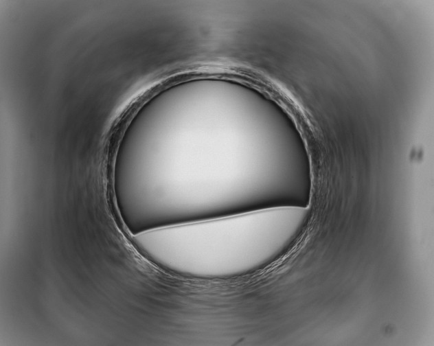 X0000101101456200806261033