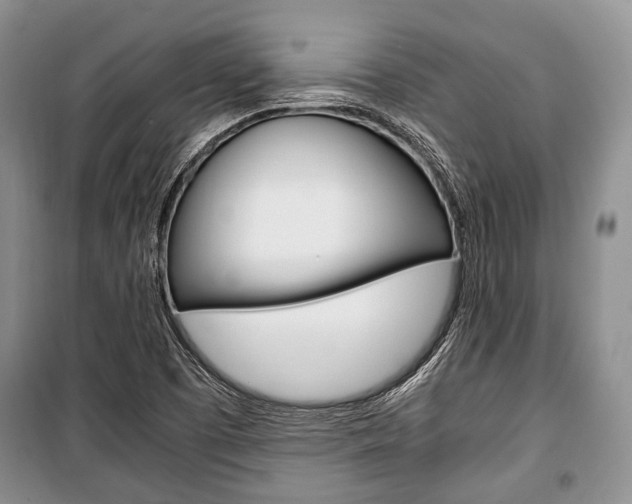 X0000101101457200806261033