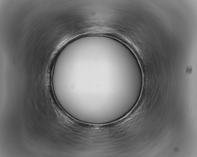 X0000101101459200806261033