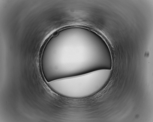 X0000101101460200806261033