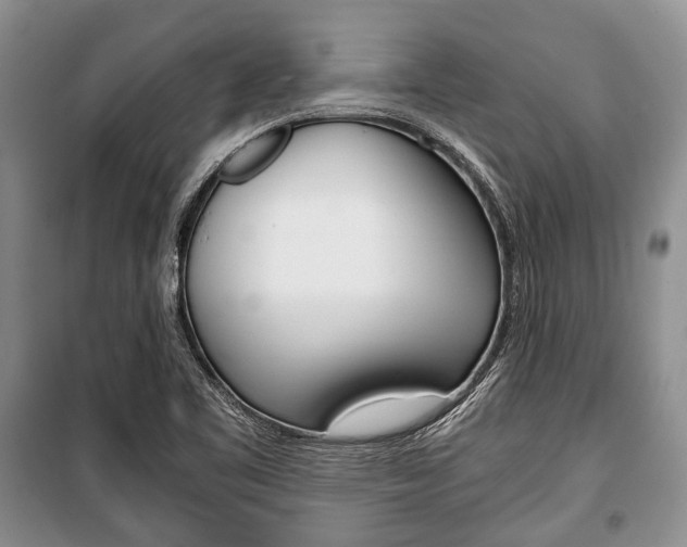 X0000101101461200806261033