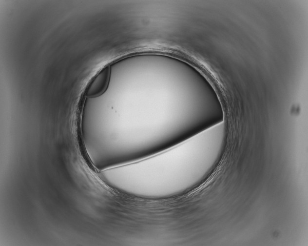 X0000101101463200806261033