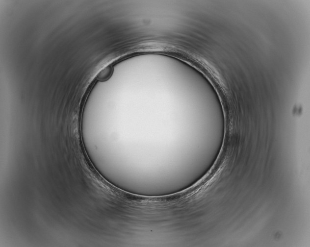 X0000101101465200806261033