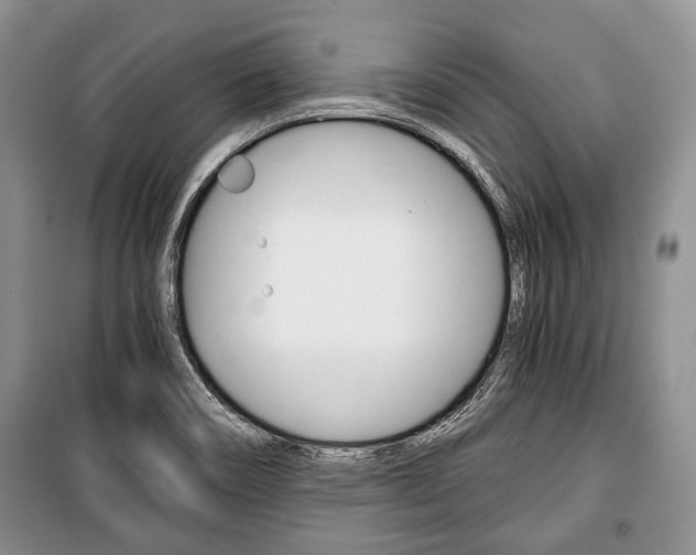 X0000101101466200806261033